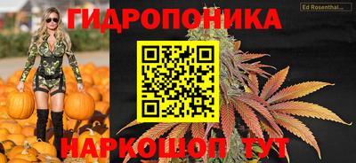 хмурый Ипатово