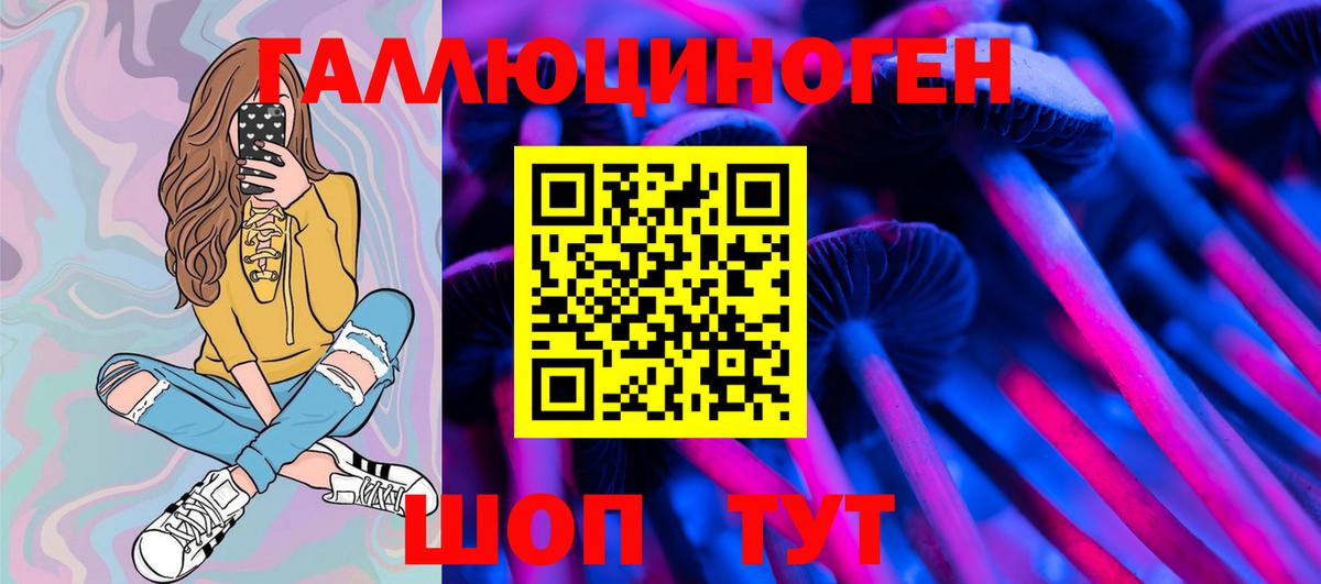 Галлюциногенные грибы Psilocybe Кулебаки
