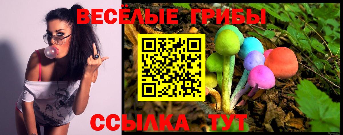 Кулебаки  продажа наркотиков  Вход с VPN  Галлюциногенные грибы GOLDEN TEACHER  Псилоцибиновые грибы GOLDEN TEACHER 